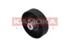 Ролик направляючий  (PLAST R0245