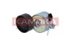 Натяжник ременя генератора Fiat Scudo 1.6 HDI 07- R0596