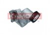 Натяжник ременя генератора Ford Focus 1.4/1.6 98-04 R0602