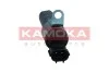 ZAWOR WARIATORA KAMOKA RA002 (фото 4)