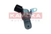 ZAWOR WARIATORA KAMOKA RA007 (фото 4)