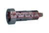 ZAWOR WARIATORA RA022