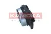 ZAWOR WARIATORA RA071
