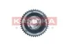 Шестерня розподiльчого валу KAMOKA RV010 (фото 5)