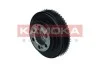 KOLO PASOWE WALU KAMOKA RW095 (фото 3)