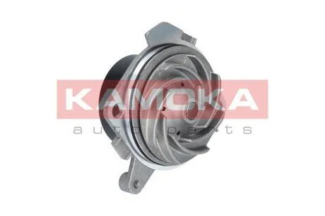 Автозапчасть KAMOKA T0001
