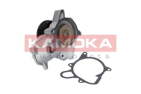 Автозапчастина KAMOKA T0053