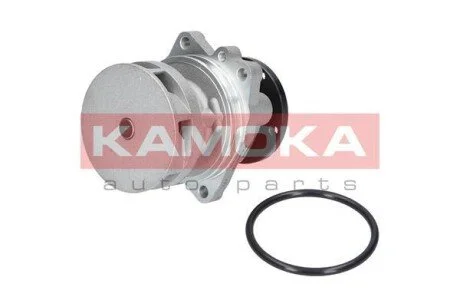 Помпа води KAMOKA T0059