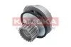 Насос охолоджуючої рідини KAMOKA T0106 (фото 3)