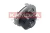 Автозапчасть T0113