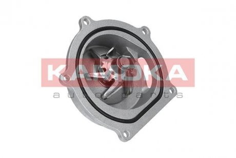 Автозапчастина KAMOKA T0145