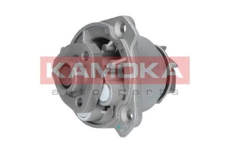 Автозапчастина KAMOKA T0256