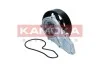 POMPA WODY KAMOKA T0304 (фото 2)
