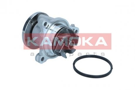 Помпа води KAMOKA T0310