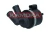 ELEKTRYCZNA POMPA WODY (DODATKOWA) KAMOKA T8002 (фото 3)