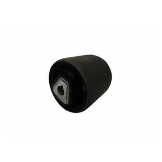 -TEKNOROT BMW С/блок переднего рычага E60E61E63E64 03- KAUTEK BM-BS046