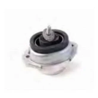 -TEKNOROT BMW Подушка двигателя передн.прав./лев. X5 E53 3,0 00- KAUTEK BM-EM031