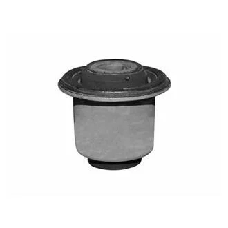 -TEKNOROT RENAULT С/блок переднего рычага Duster 10- KAUTEK DC-BS001