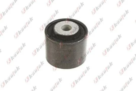 -TEKNOROT DB С/блок заднего рычага W203 00-07 KAUTEK ME-BS180