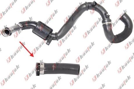 RENAULT маслопровід компресори Trafic 2.0dCI 06- KAUTEK RE-TH062