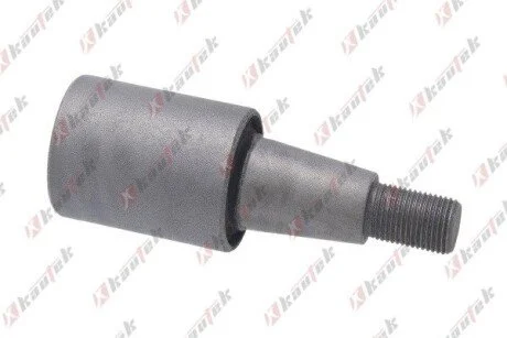 -TEKNOROT SSANGYONG С/блок переднего нижнего рычага ACTYON I 2.0 Xdi 07-13, KYRON 2.0 Xdi 10-, KYRON 2.7 Xdi 4x4 05- KAUTEK SY-BS002