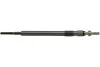 SWIECA ZAROWA IGP4008