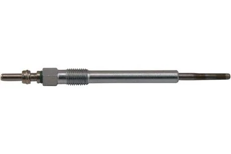 SWIECA ZAROWA KAVO IGP8507