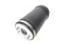 Подушка пневмопідвіски PARTS KAVO SAS-10035 (фото 2)