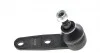 Кульова опора (шарнір) PARTS KAVO SBJ-1001 (фото 6)