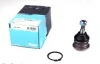 Кульова опора (шарнір) KAVO PARTS SBJ-2002