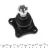 Кульова опора (шарнір) PARTS KAVO SBJ-5508 (фото 3)