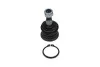 Кульова опора (шарнір) KAVO PARTS SBJ-9033