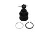 KAVO PARTS TOYOTA кульова опора Yaris 1.0 05-11, 1.8 07-11 SBJ-9034