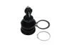 PARTS TOYOTA кульова опора Yaris 1.0 05-11, 1.8 07-11 KAVO SBJ-9034 (фото 4)