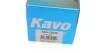 Амортизатор PARTS KAVO SSA-10348 (фото 6)