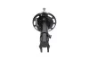 KAVO PARTS HONDA Амортизатор газ.передн.прав.Jazz II 02-03/05 SSA-2013