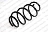 Пружина підвіски передня SKODA/VW. 1K0411105BC VAG 25028