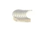 Подшипник скольжения FORD EUROPE 1.8D - Indirect Injection King CR4062AM 0,25 (фото 4)