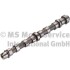 Camshaft 50007106