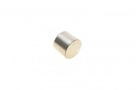 Штовхач клапана ГБЦ OPEL KOLBENSCHMIDT 50 007 559