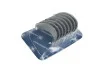 Вкладиші шатунні комплект AUDI/SEAT/SKODA/VW 1,6 96- 77 552 600
