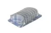 Підшипник ковзання PKW CITROEN / FORD / PEUGEOT  1,6HDI 77873610