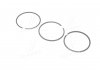 Поршневые кольца 92 STD (4cyl) Opel 2.3TD 88-94 (2.5*2*4) KOLBENSCHMIDT 800021610000 (фото 3)