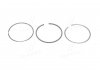 Кільця поршневі, комплект на 1 циліндр FIAT Bravo,Doblo,Marea 1,9JTD 98- 800050210000