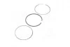 Кольца поршневые FORD/PSA 86.0 (2/2/2) 2.0TDCI PGFA/PGFB/4HU(P22DTE)/4HV(P22DTE) (KS) KOLBENSCHMIDT 800075210000 (фото 2)