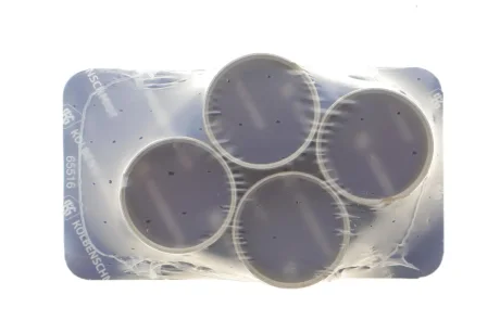 КМП вкладышей шатуна KOLBENSCHMIDT 87 355 693