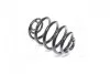 Пружина K-FLEX OPEL Omega B "R "94-03 RJ6226