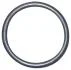 ORING IVECO POMPY WODY 125004