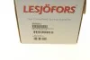 Пружина LESJOFORS 4259251 (фото 6)