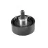 MAGNETI MARELLI FIAT Ролик натяжной Bravo 1.9D 07- 331316170063